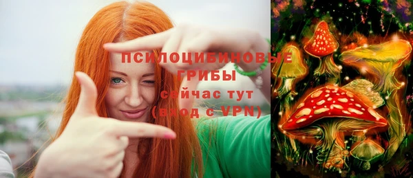 марихуана Сясьстрой