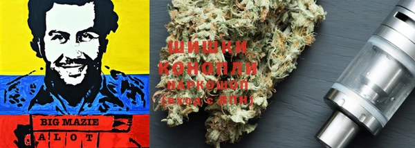 твердый Тавда