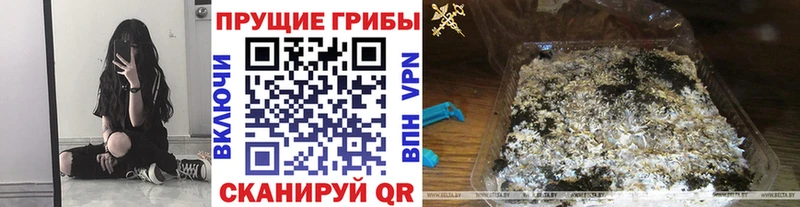 Галлюциногенные грибы мицелий  Купить  Берёзовка 